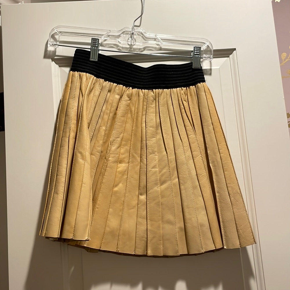 parker skirt